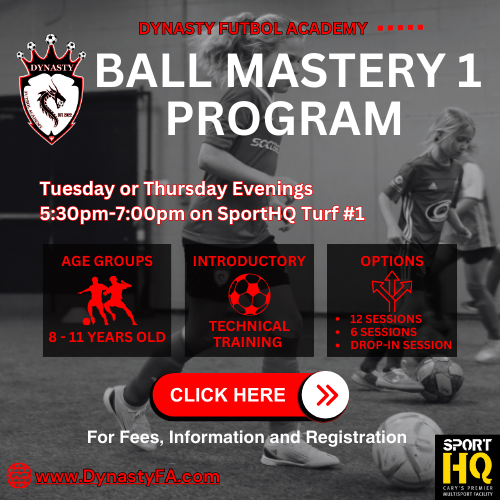 Ball Mastery Program